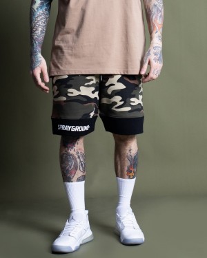 Green Sprayground Bermuda Fantasia Mimetica Men's Shorts | 558368302