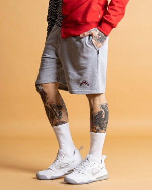Grey Sprayground Bermuda Smooth Men's Shorts | 790612344