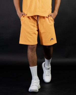 Orange Sprayground Bermuda Smooth Men's Shorts | 489906563