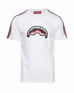 White Sprayground Shark Crew Women's T Shirts | 112652961
