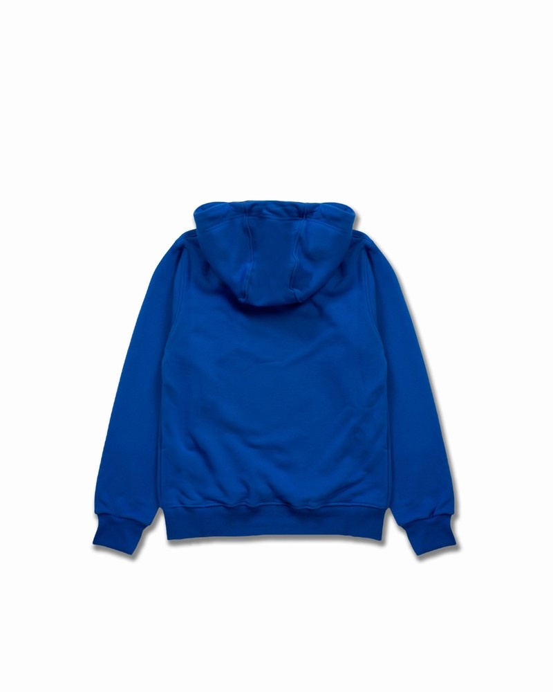 Blue Sprayground Anatomy Bear Kids' Hoodie | 297507455