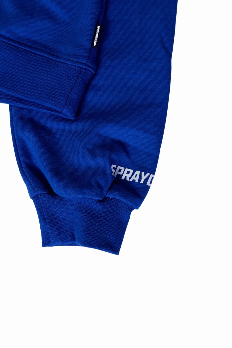 Blue Sprayground Trinity 2 Kids' Hoodie | 64164038
