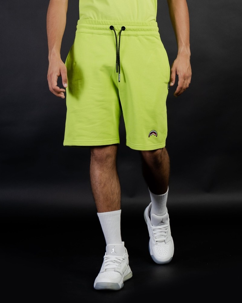 Green Sprayground Bermuda Smooth Men's Shorts | 855984565