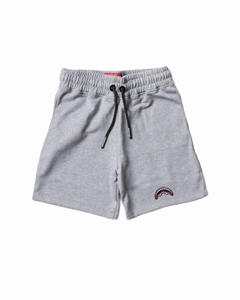 Grey Sprayground Bermuda Smooth Kids\' Shorts | 253767217