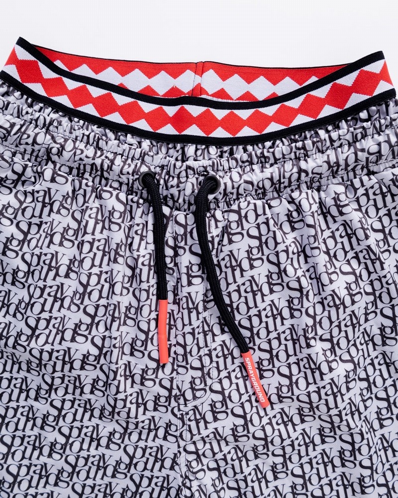 Grey Sprayground Spior Men's Swim Shorts | 130247984