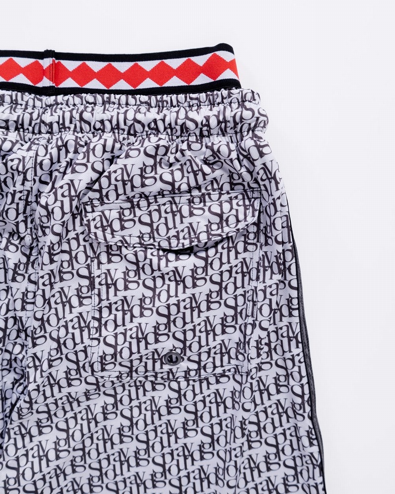 Grey Sprayground Spior Men's Swim Shorts | 130247984