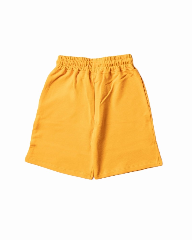 Orange Sprayground Bermuda Smooth Kids' Shorts | 138821514