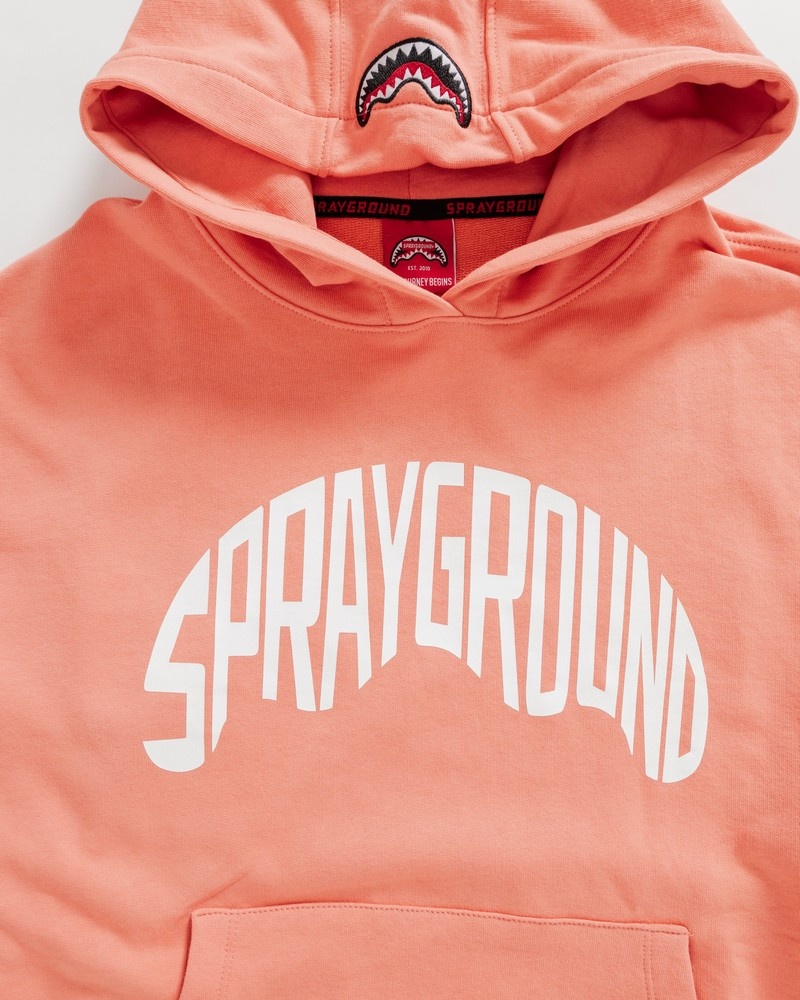 Pink Sprayground Shark Shape Basic Women's Hoodie | 593051813